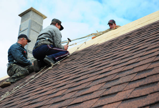 Best Local Roofing Companies  in Brush Prairie, WA